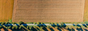 Aerial field and road - crop1.png