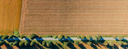 Aerial field and road - crop2.png